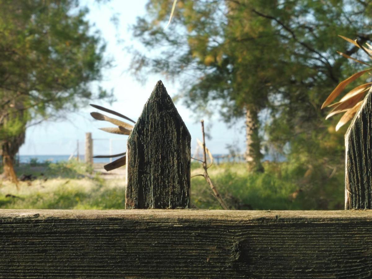 Palm Tree House By The Beach Skhoinos Экстерьер фото